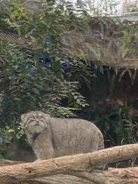 神戸どうぶつ王国に投稿された画像（2021/9/23）