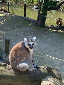 神戸どうぶつ王国に投稿された画像（2021/9/23）