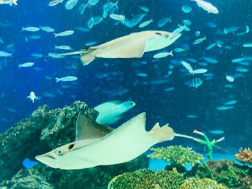 サンシャイン水族館に投稿された画像（2021/9/23）