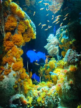 サンシャイン水族館に投稿された画像（2021/9/23）