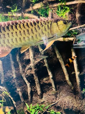 サンシャイン水族館に投稿された画像（2021/9/23）