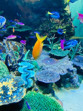 サンシャイン水族館に投稿された画像（2021/9/23）