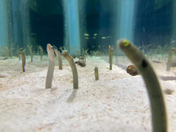 すみだ水族館に投稿された画像（2021/9/23）