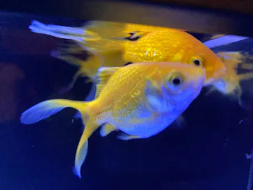 すみだ水族館に投稿された画像（2021/9/23）