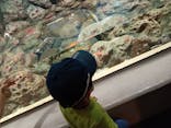 しながわ水族館に投稿された画像（2021/9/23）