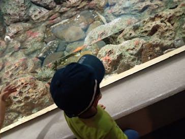 しながわ水族館に投稿された画像（2021/9/23）