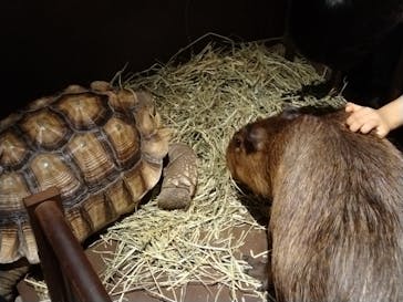 Moff animal world MARK IS みなとみらい店に投稿された画像（2021/9/23）