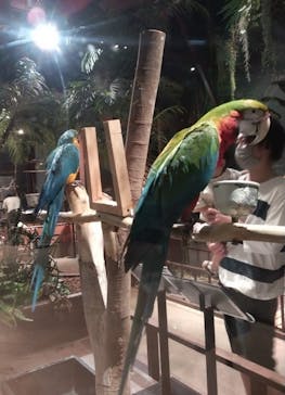 Moff animal world MARK IS みなとみらい店に投稿された画像（2021/9/23）