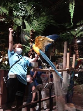 Moff animal world MARK IS みなとみらい店に投稿された画像（2021/9/23）