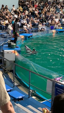 マクセル アクアパーク品川に投稿された画像（2021/9/23）