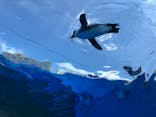サンシャイン水族館に投稿された画像（2021/9/23）