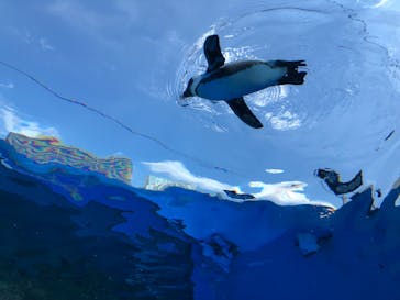 サンシャイン水族館に投稿された画像（2021/9/23）