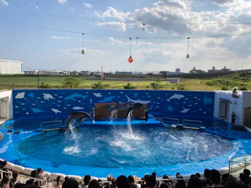 仙台うみの杜水族館に投稿された画像（2021/9/23）