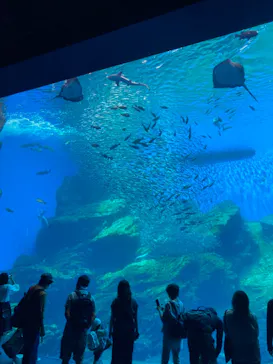 仙台うみの杜水族館に投稿された画像（2021/9/23）
