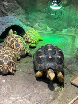 サンシャイン水族館に投稿された画像（2021/9/23）