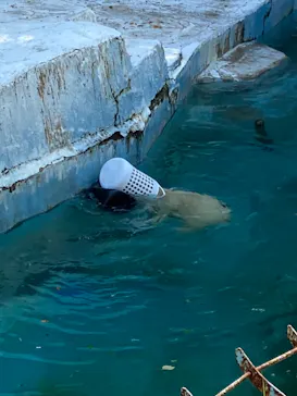天王寺動物園に投稿された画像（2021/9/23）