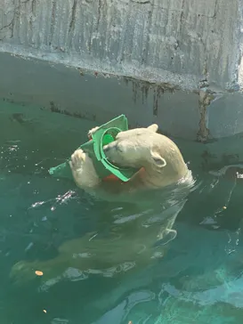 天王寺動物園に投稿された画像（2021/9/23）