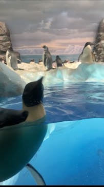 名古屋港水族館に投稿された画像（2021/9/23）