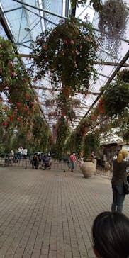 富士花鳥園に投稿された画像（2021/9/23）