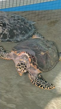 名古屋港水族館に投稿された画像（2021/9/23）