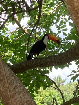 ネオパークオキナワに投稿された画像（2021/9/23）