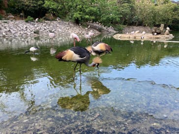 ネオパークオキナワに投稿された画像（2021/9/23）