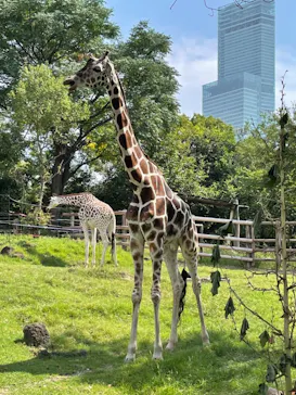 天王寺動物園に投稿された画像（2021/9/23）