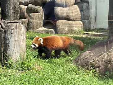 天王寺動物園に投稿された画像（2021/9/23）