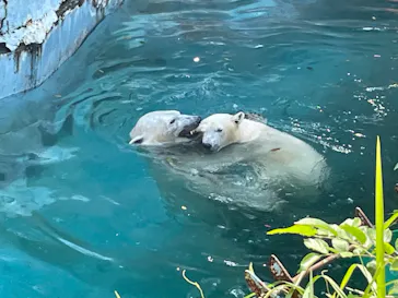 天王寺動物園に投稿された画像（2021/9/23）