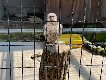 天王寺動物園に投稿された画像（2021/9/23）