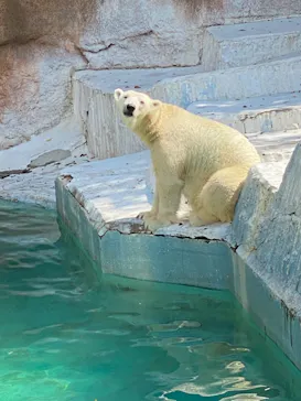 天王寺動物園に投稿された画像（2021/9/23）