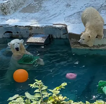 天王寺動物園に投稿された画像（2021/9/23）
