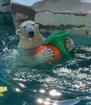 天王寺動物園に投稿された画像（2021/9/23）