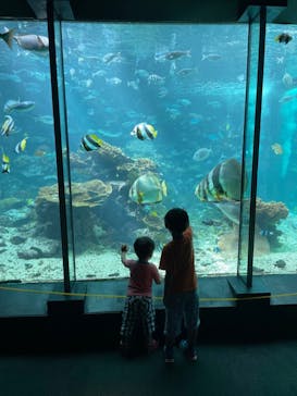 串本海中公園水族館に投稿された画像（2021/9/23）