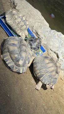 天王寺動物園に投稿された画像（2021/9/23）