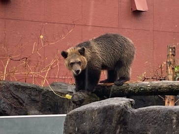 のぼりべつクマ牧場に投稿された画像（2021/9/23）