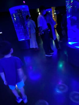 マクセル アクアパーク品川に投稿された画像（2021/9/23）