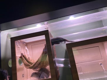 マクセル アクアパーク品川に投稿された画像（2021/9/23）