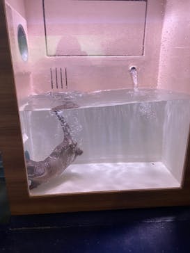 マクセル アクアパーク品川に投稿された画像（2021/9/23）