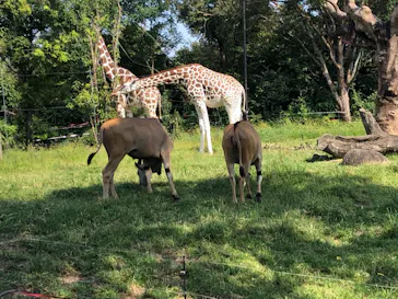 天王寺動物園に投稿された画像（2021/9/23）