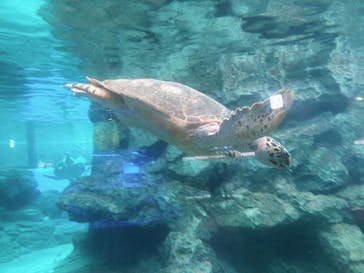 名古屋港水族館に投稿された画像（2021/9/23）