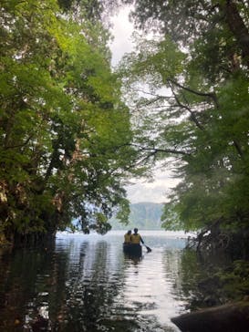 グリランド株式会社に投稿された画像（2021/9/23）