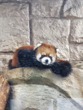 天王寺動物園に投稿された画像（2021/9/23）