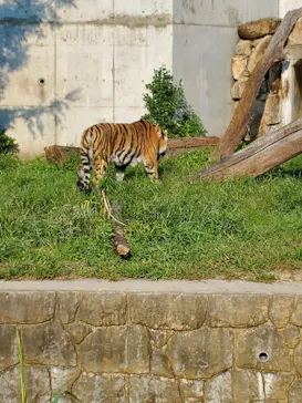 天王寺動物園に投稿された画像（2021/9/23）