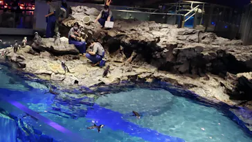 すみだ水族館に投稿された画像（2021/9/23）