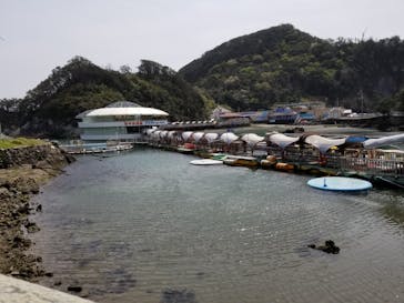 下田海中水族館に投稿された画像（2021/9/23）