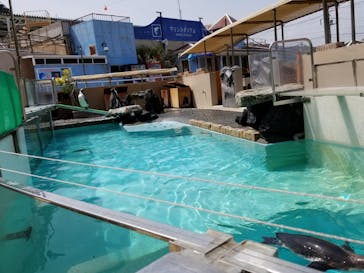 下田海中水族館に投稿された画像（2021/9/23）