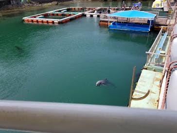 下田海中水族館に投稿された画像（2021/9/23）