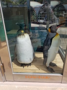 下田海中水族館に投稿された画像（2021/9/23）