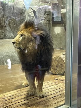 よこはま動物園ズーラシアに投稿された画像（2021/9/23）